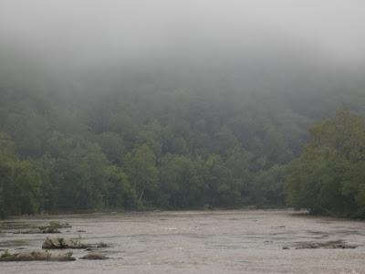 On a Misty Morning