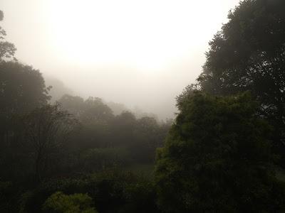 On a Misty Morning