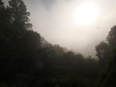 On a Misty Morning