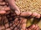 Lanka Ranked Five Highest Food Price Inflation