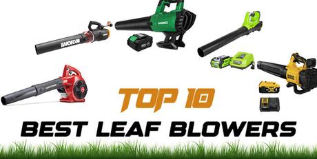 The 10 Best Leaf Blowers 2021