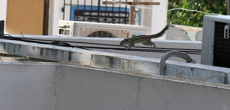 Science of flying !!