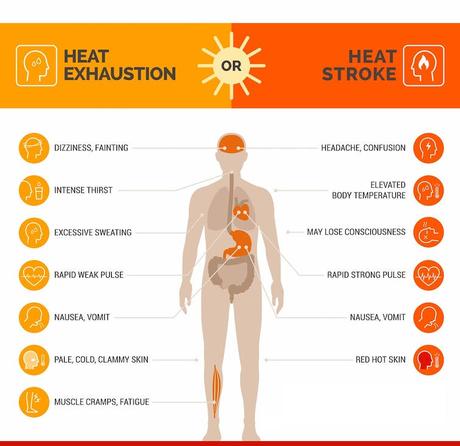 If you thought this summer’s heat waves were bad, a new study has some disturbing news about dangerous heat in the future