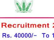 Recruitment 2022 Apply Online Manager Vacancy