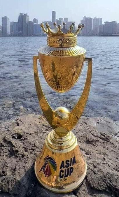 Cricket extravaganza !  - Asia Cup  2022 set to start !!