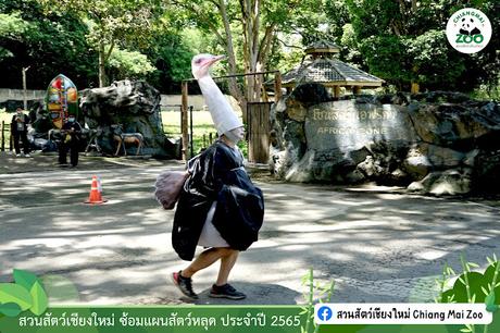 Ostrich Policy - Emu bubble burst a decade ago !!