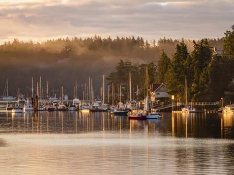 What should be done in Friday Harbor, WA