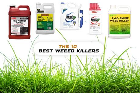 The Best Weed Killers for 2022 (Ultimate Review)