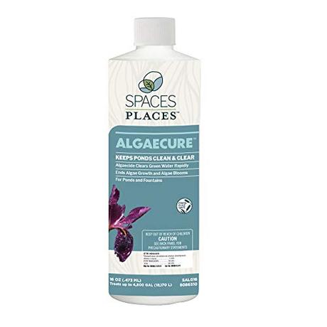 Spaces Places SALG16 16 Oz. Algaecure-Reduce Algae in Ponds, Waterfalls, and Fountains Safe Around Plants and Fish-Clears up Water, Bottle, Natural