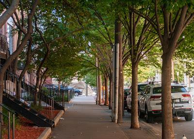 Sun and shade [Hoboken]