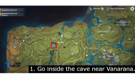 How to Use Vasmrti in Genshin Impact