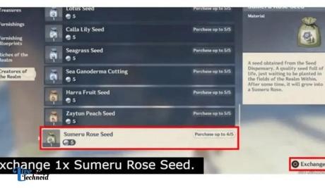 How to Collect Sumeru Rose Seeds in Genshin Impact