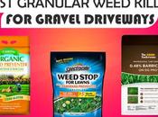 Best Granular Weed Killer Gravel Driveways