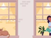 York Neighbor: City Lights, Streets, Zone