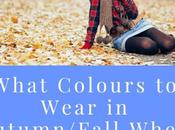 What Colours Wear Autumn/Fall When Have Cool Colouring