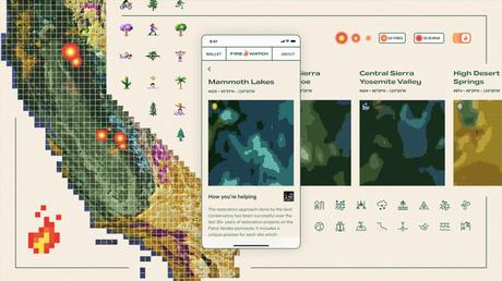 Digital agency YML created FIREWATCH NFT to restore California’s forests