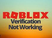 Fixed: Roblox Verification Working