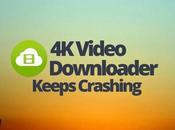 Fixed: Video Downloader Keeps Crashing