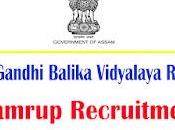 Kasturba Gandhi Balika Vidyalaya Recruitment Assistant Teacher Hindi Post