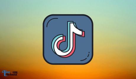 How To Partner With The Right TikTok Influencers