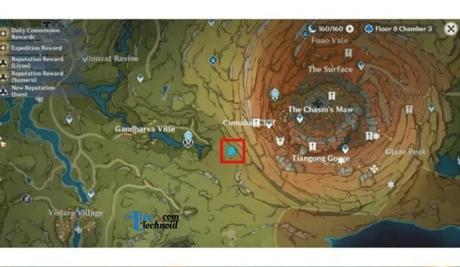 Shriveled Starshroom in Genshin Impact