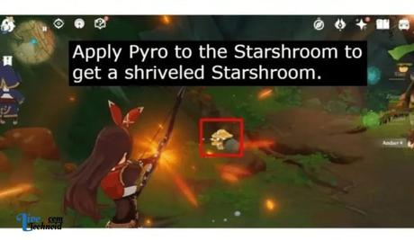 Shriveled Starshroom in Genshin Impact