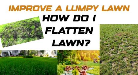 Improve a Lumpy Lawn – How do I flatten lawn?