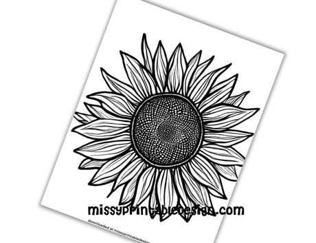 free sunflower coloring page