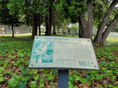 MILLS COLLEGE, OAKLAND, CA: Nature Walk and Window Onto History