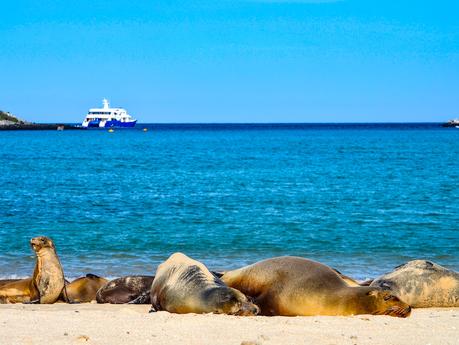 Best Galapagos Islands to Visit on a Cruise