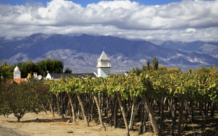 Of fine wine and ancient civilizations: My enchanting trip to Argentina