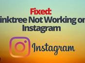 Fixed: Linktree Working Instagram