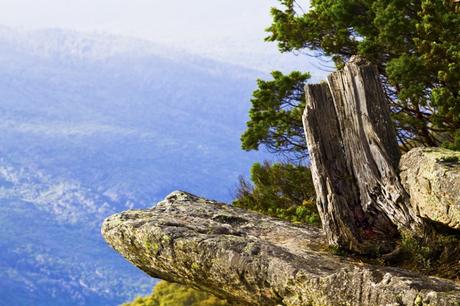 Hiking the Australian Alps Walking Track