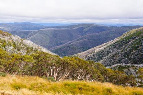 Hiking the Australian Alps Walking Track