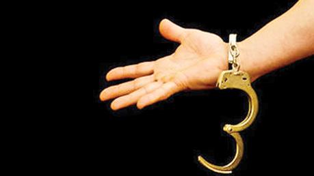 Student hacker released on bail