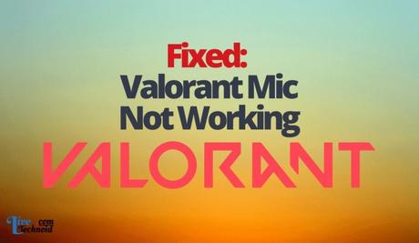 Fixed: Valorant Mic Not Working