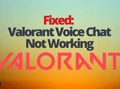 Fixed: Valorant Voice Chat Working