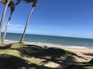 Berwind Resort in Puerto Rico (Airbnb)