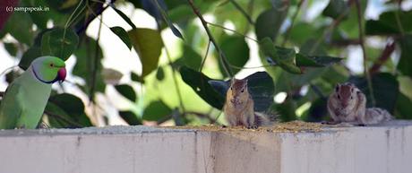 value of friendship !