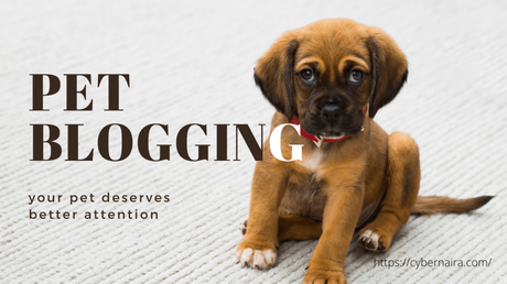 Pet Blogging: How to Start and Make Money in 2022