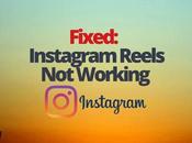 Fixed: Instagram Reels Working
