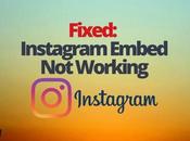 Fixed: Instagram Embed Working