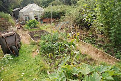 Work in progress - renewing the veg garden
