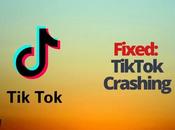 Fixed: TikTok Crashing