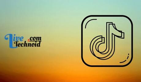 Fixed: TikTok Crashing