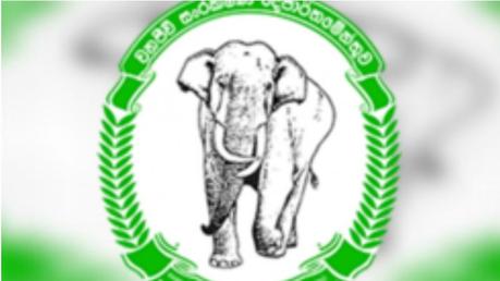 Wild elephant population increases, tuskers dwindle