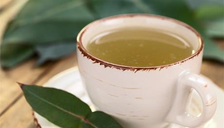 5 Benefits Of Eucalyptus Tea That You Should Know About