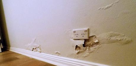What Are the Four Most Common Damp Types?