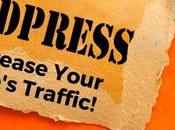 Increase WordPress Site Traffic Better