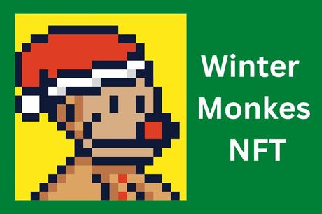 Winter Monkes NFT Collection 2022 –  A Complete Guide